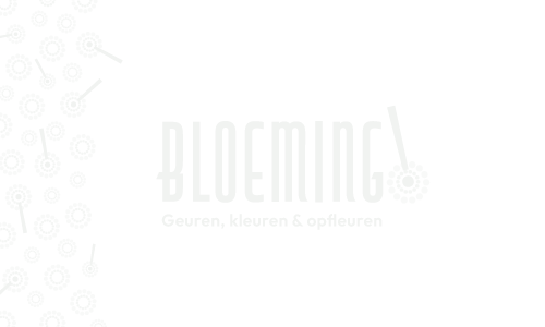 ConceptCards_bloeming